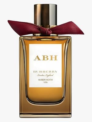 Amber Heath Burberry